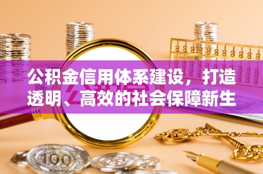 衢州公积金信用体系建设，打造透明、高效的社会保障新生态